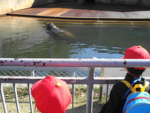 DSC09251.JPG