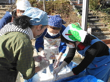 DSC09412.JPG