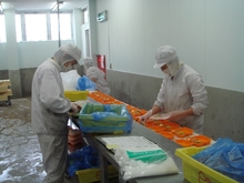 201002-tamasei3.jpg