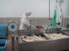 201002-tamasei5.jpg