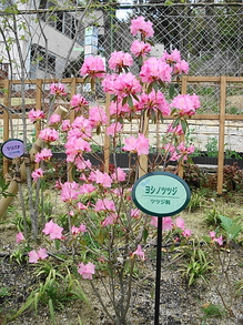 DSC00080.JPG