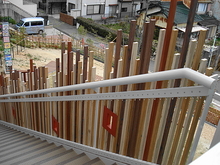 DSC00083.JPG