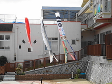 DSC00208.JPG