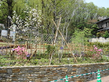 DSC00211.JPG