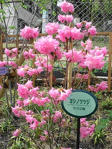 DSC00214.JPG