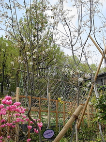 DSC00216.JPG