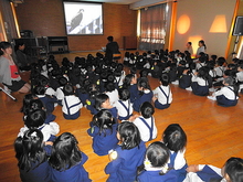 DSC00236.JPG