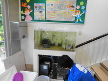 DSC00342.JPG