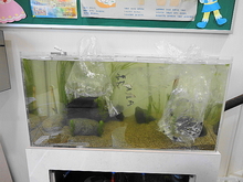 DSC00343.JPG