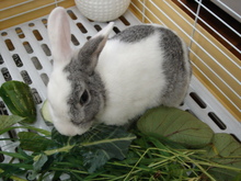 DSC00379.JPG