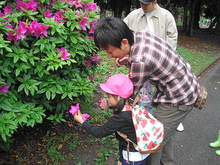 DSC00392.JPGのサムネール画像