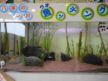 DSC00424.JPG
