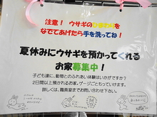 DSC00428.JPG