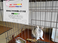 DSC00430.JPG