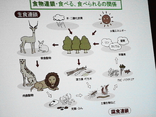 DSC00456.JPG