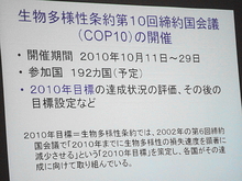 DSC00459.JPG