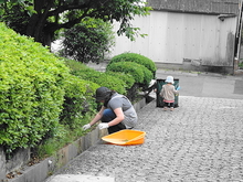 DSC00474.JPG