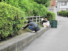 DSC00479.JPG