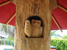 DSC00482.JPG