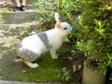 DSC00483.JPG