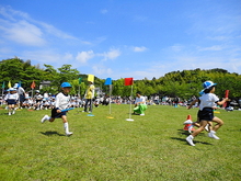 DSC00533.JPG