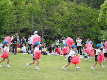 DSC00549.JPG