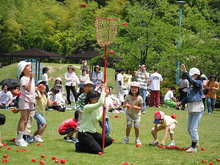 DSC00587.JPG