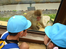 DSC00628.JPG