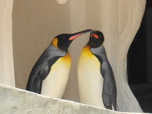 DSC00656.JPG