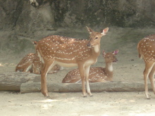 DSC00662.JPG