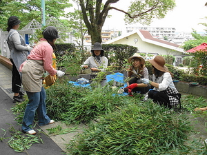 DSC00753.JPG