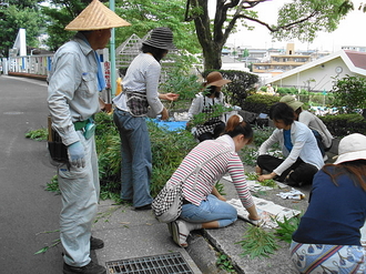 DSC00756.JPG