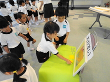 DSC01222.JPG