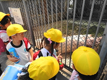 DSC01516.JPG