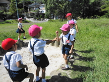 DSC01638.JPG