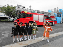 DSC01687.JPG