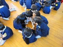 DSC02477.JPG