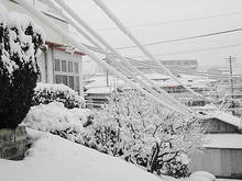 DSC02706.JPG
