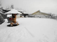 DSC02715.JPG