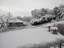 DSC02720.JPG