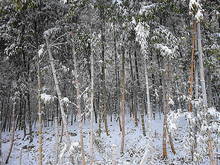 DSC02735.JPG
