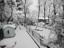 DSC02736.JPG