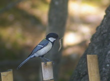 IMGP5777NO2.jpg