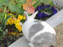 DSC03308.JPG
