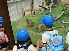 DSC00905.JPG