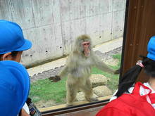 DSC00907.JPG