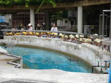 DSC02090.JPG