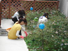 DSC00988.JPG