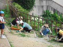 DSC00992.JPG
