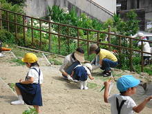 DSC00996.JPG